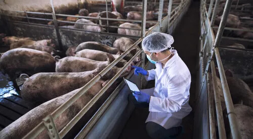 台達標準薄型控制器豬舍智慧環境控制系統